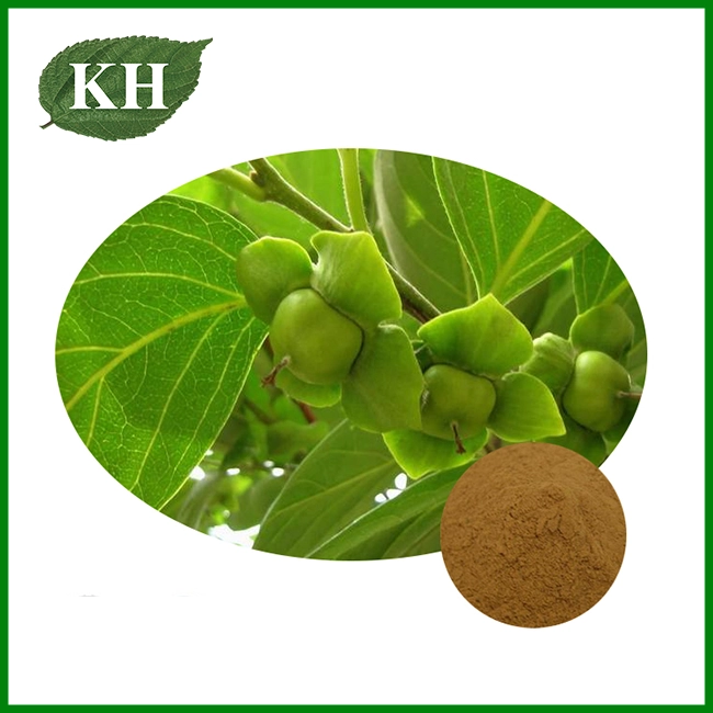 Persimmon Leaf Extract
